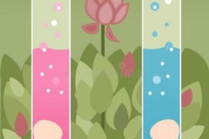 美国试管婴儿胚胎移植成功率揭秘：数据、影响因素与真实案例