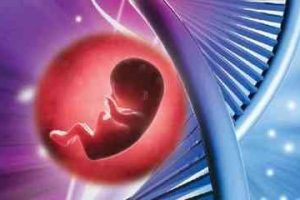 两次流产后，第三次怀孕能成功吗？