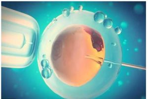 试管二胎移植要花多少钱？费用明细+省钱攻略看这篇就够了！