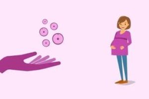 试管婴儿（ivf-et）：从准备到成功的全流程科普