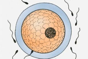 怎样通过排名找到靠谱试管婴儿机构