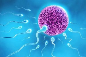 snowonon（孕激素阴道缓释凝胶）晨间vs晚间用药指南