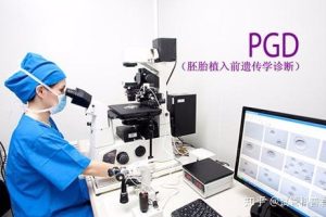 重度宫颈糜烂能做试管移植吗？附移植后护理要点