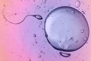 试管婴儿失败后多久能重来？不是固定3个月