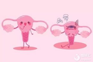 长方案降调后，多久开始促排？科学时间与关键要点