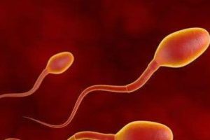 试管婴儿治疗中，“降调后15天返院”到底意味着什么？