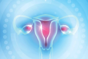 试管婴儿机构选择指南（基于泰国生殖医学资源）