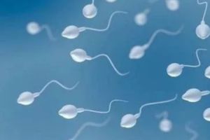 如果试管婴儿监测期间仅检测到2-3个卵泡