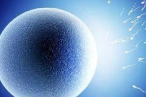 45岁做试管婴儿：是最佳选择吗？医学数据告诉你真相