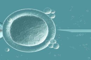 人工授精vs试管婴儿：近5年辅助生殖技术的差异与新进展