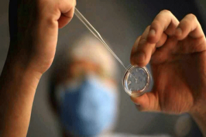 降调人工周期：并非人人适用的内分泌精准调控方案