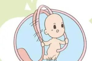 俄罗斯试管婴儿成功率解析：数据、优势与实用指南