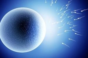 试管婴儿短效长程方案：周期对比与科学建议指南