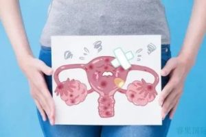 子宫内膜薄≠必须放弃移植！做决定前先看这3个关键判断点