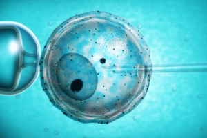 卵泡监测与备孕时机：科学把握“好孕”窗口