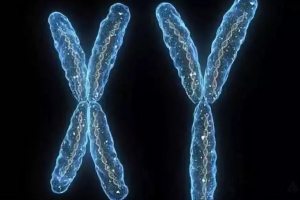 精确监测+动态调药：让三个卵泡“同步成长”