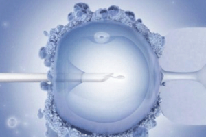 备孕期间内裤出现浅粉色分泌物？别用”着床出血”判断胚胎健康啦