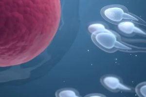 胚胎移植后，身体发出的3个着床信号