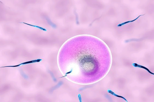 美国试管婴儿费用全面解析：成本构成、影响因素及实用省钱攻略