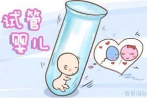 胚胎移植后1-10天：生命“扎根”的神秘之旅