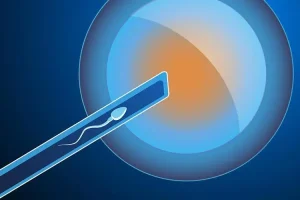 中医在辅助生殖中的辅助作用：科学使用指南