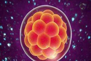 停用促排卵药后催乳素轻微升高？别慌！这是常见的暂时现象