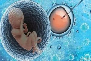 做试管婴儿前，你需要做好这4+1项准备