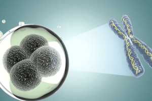 试管婴儿：希望之外的潜在风险，如何科学应对