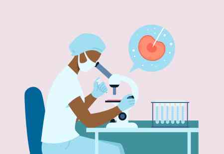 试管婴儿费用,试管婴儿方案