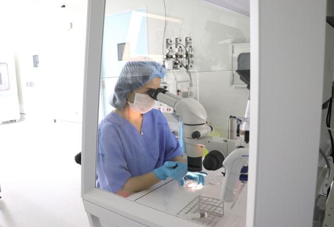 泰国试管婴儿多少钱