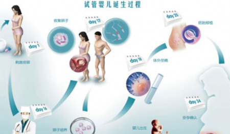 泰国试管婴儿一个周期费用多少钱