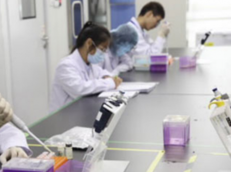 深圳三代试管婴儿要多少钱