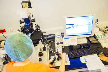 泰国试管婴儿过程费用都用在哪里