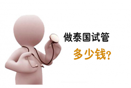 做泰国试管婴儿需要准备多少钱