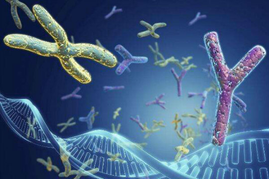 第三代泰国试管婴儿费用需要多少,三代泰国试管婴儿费用需要多少,第三代泰国试管婴儿费用