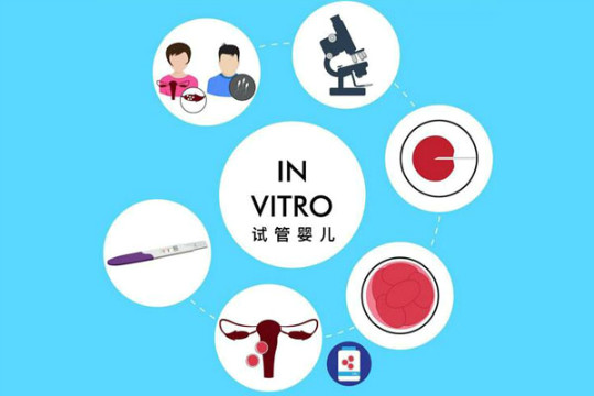 泰国试管婴儿做一次大约多少钱,泰国试管婴儿多少钱