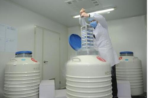 用精子库精子做试管婴儿费用