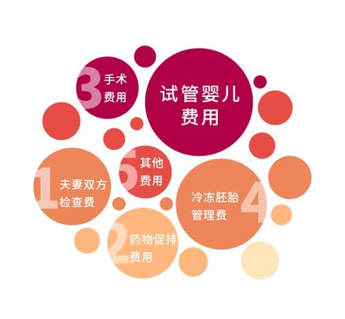 试管婴儿怎么做的全过程费用
