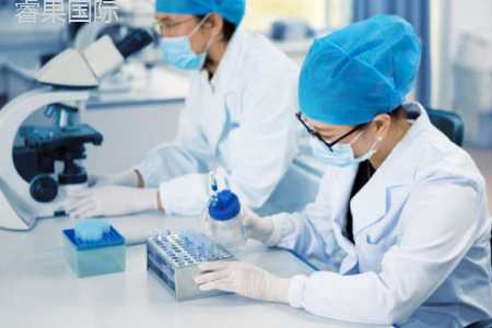 去泰国做试管婴儿多少钱