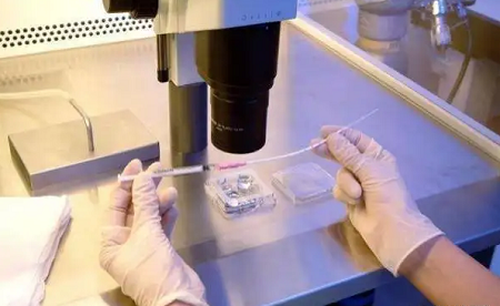 试管婴儿成功率