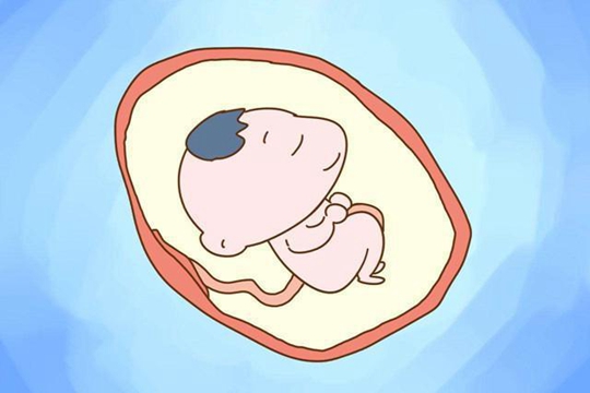 高龄三代试管成功率