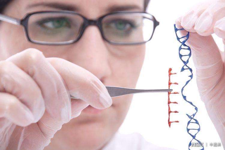 试管婴儿技术,三代试管