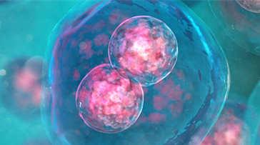 深圳第三代试管婴儿成功率