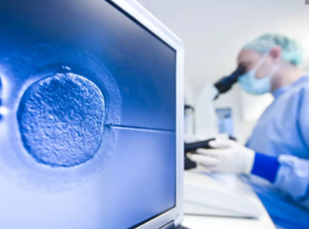 第三代试管婴儿成功率有多少,第三代试管婴儿成功率,试管婴儿成功率有多少