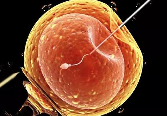 试管婴儿技术,试管婴儿的副作用