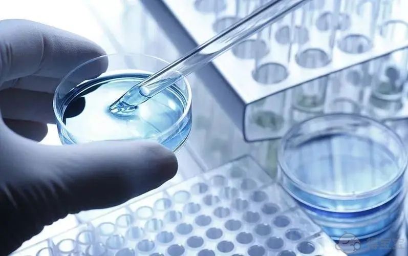 卵泡不成熟,卵泡质量