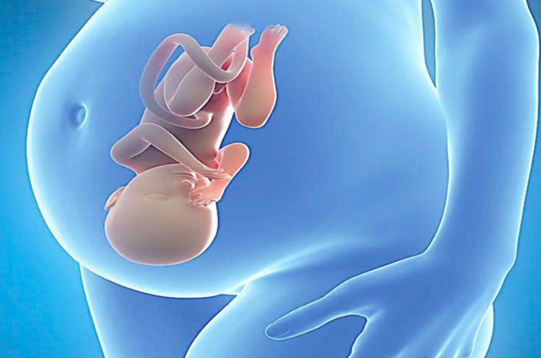 深圳试管医院,试管婴儿,包成功