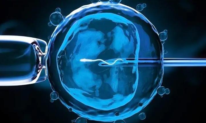 三代试管婴儿,体外受精