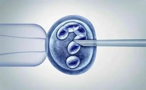 西安试管婴儿,试管医院,试管成功率