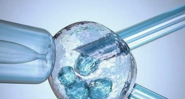 试管婴儿技术,试管婴儿成功率